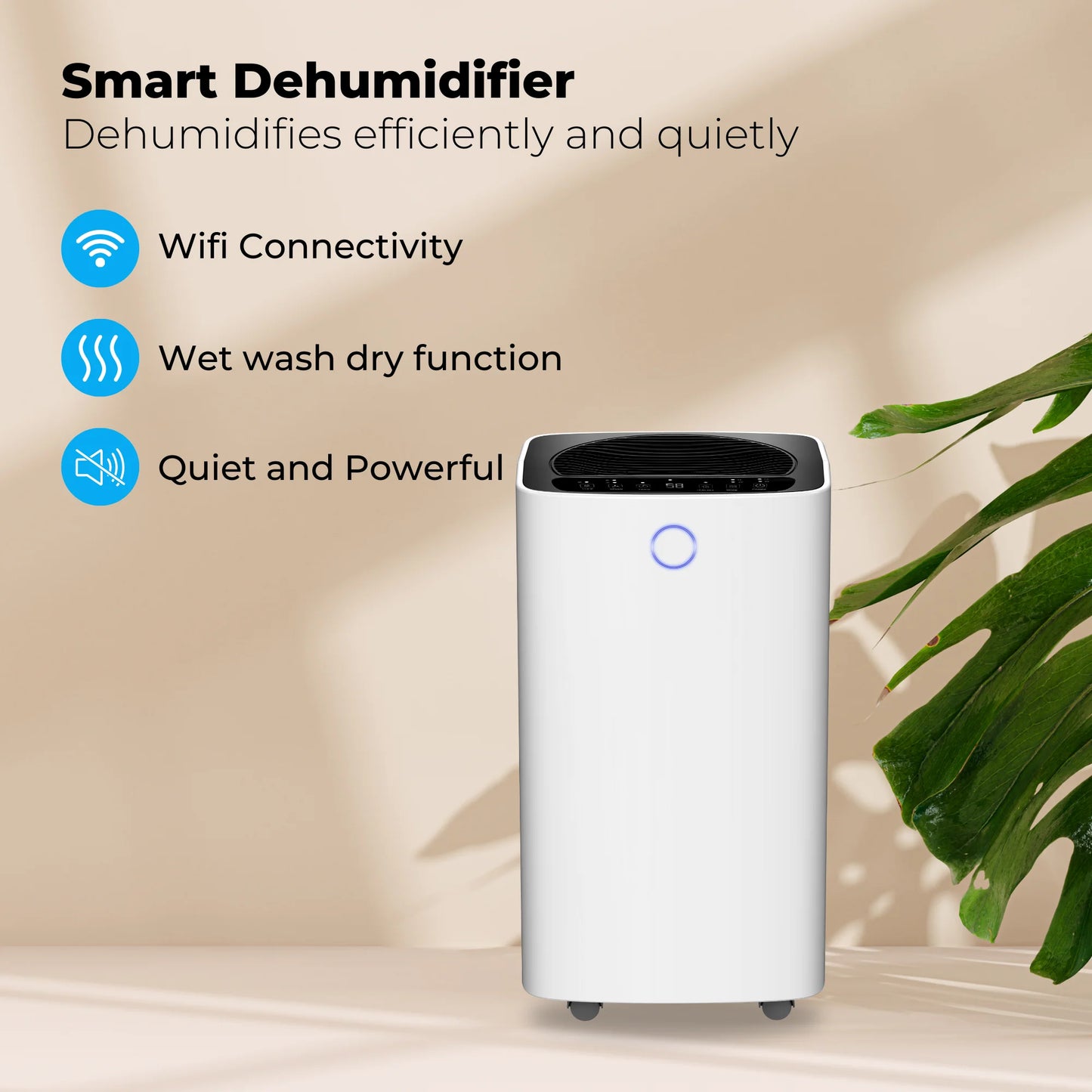 Deshumidificador compacto de 12 litros Wifi con filtro de carbono