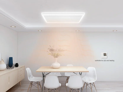 Panel infrarrojo QH-HL con iluminación LED 63 x 108 cm - 700Watt